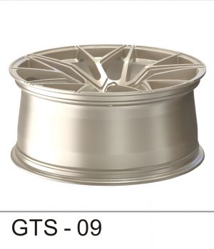 GTS-09_C