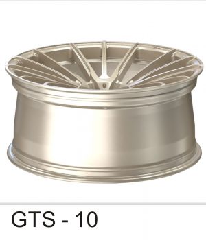 GTS-10_C