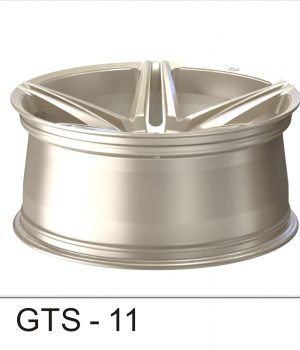 GTS-11_C
