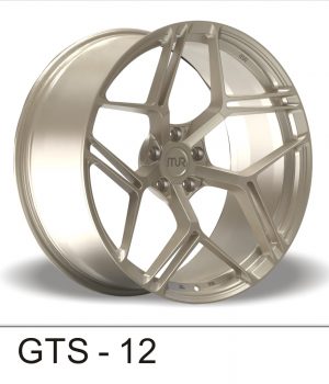 GTS-12_A