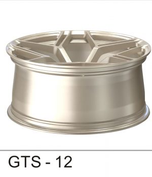 GTS-12_C
