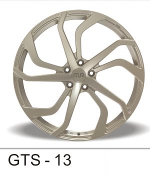 GTS-13_B