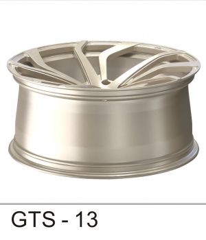 GTS-13_C