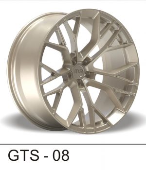 GTS_08_a