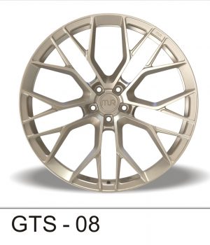 GTS_08_b
