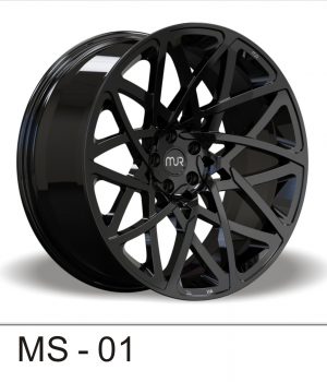 MS-01_A