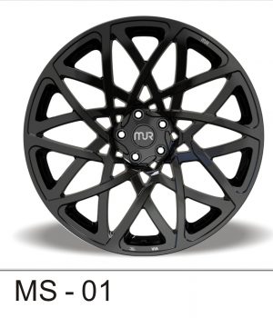 MS-01_B