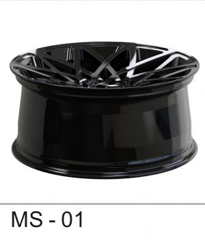 MS-01_C