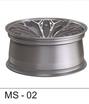 MS-02_C