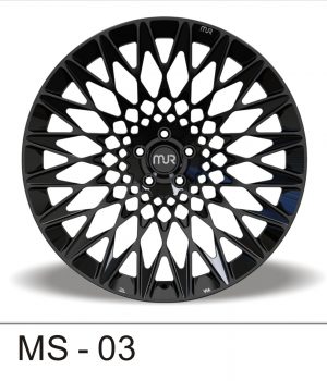 MS-03_b
