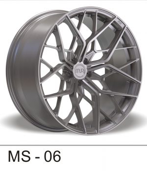 MS-06_A