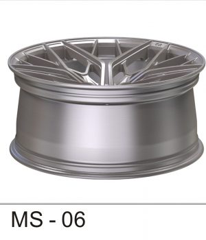 MS-06_C