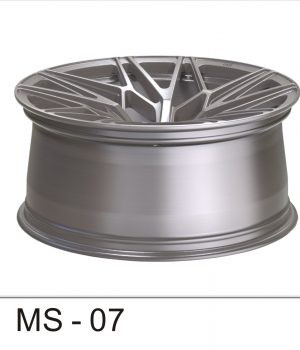 MS-07_C