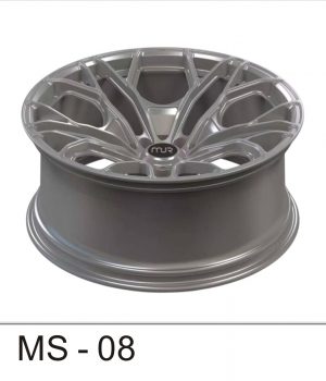 MS-08_C